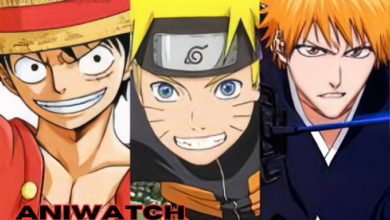 Aniwatch