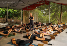 yoga TTc  in India